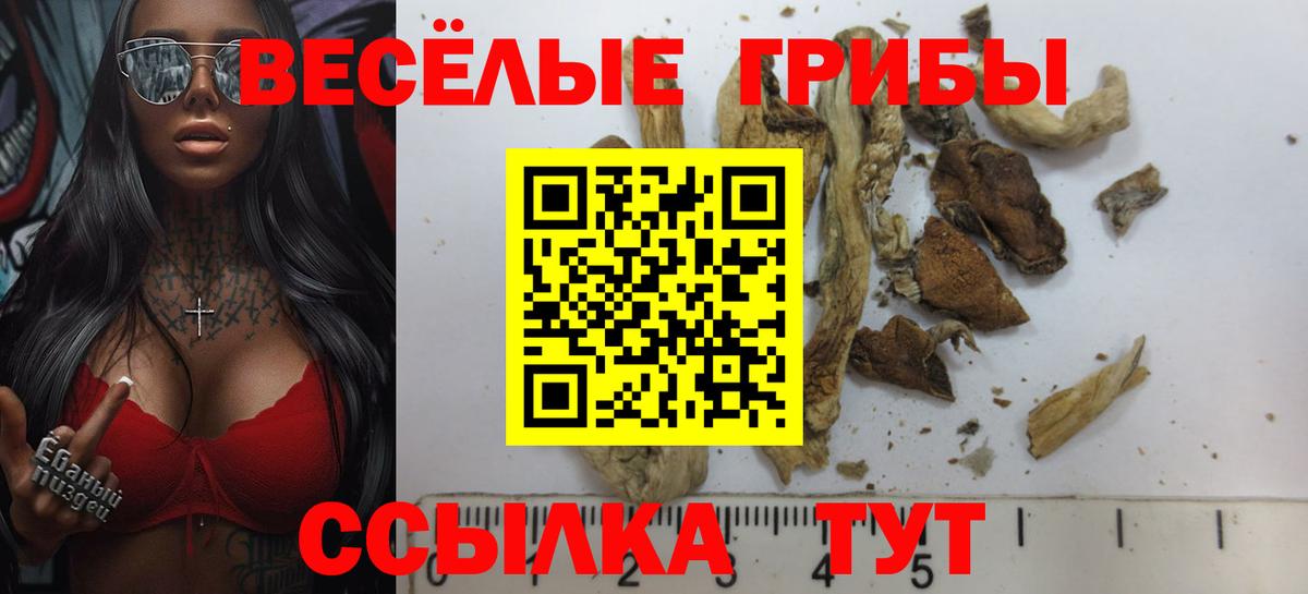 Котовск  Галлюциногенные грибы Psilocybine cubensis  Псилоцибиновые грибы Psilocybine cubensis  Вход с VPN 